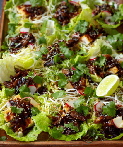 Jamie Oliver 15 Minute Meal Crispy Duck